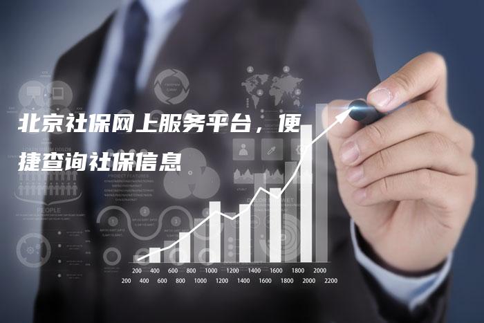 北京社保网上服务平台，便捷查询社保信息