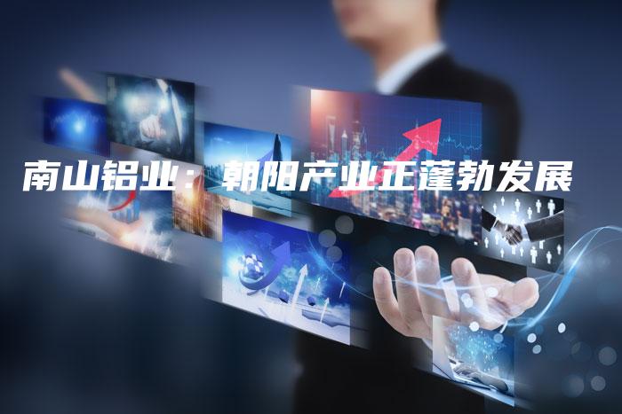 南山铝业：朝阳产业正蓬勃发展