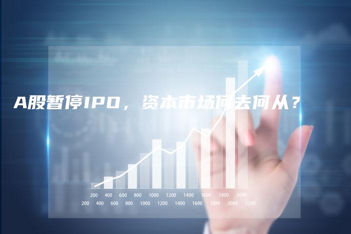 A股暂停IPO，资本市场何去何从？
