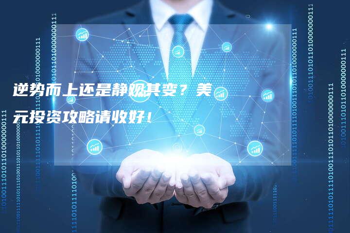 逆势而上还是静观其变？美元投资攻略请收好！