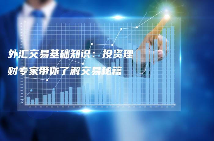 外汇交易基础知识：投资理财专家带你了解交易秘籍
