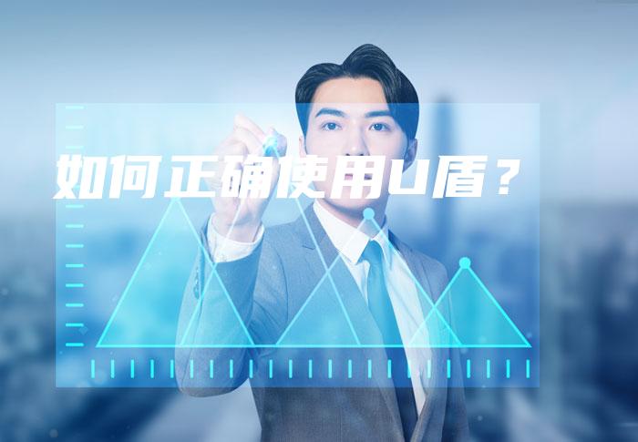 如何正确使用U盾？