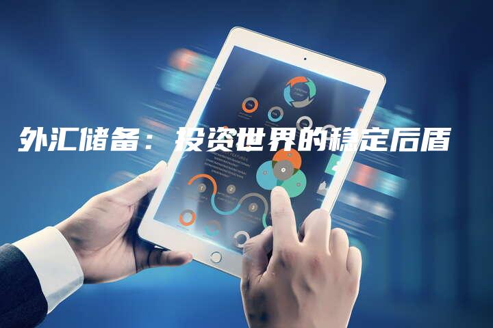 外汇储备：投资世界的稳定后盾