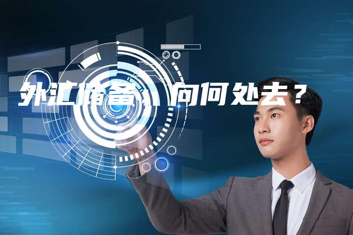 外汇储备：向何处去？