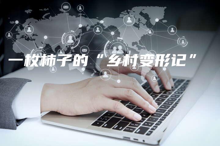 一枚柿子的“乡村变形记”-中小企业网