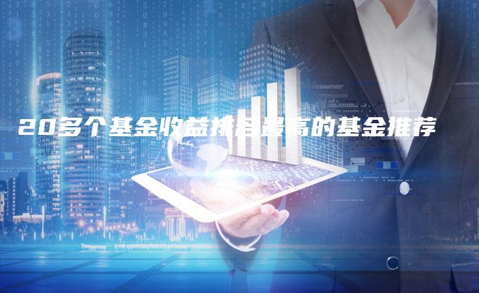 20多个基金收益排名最高的基金推荐-中小企业网