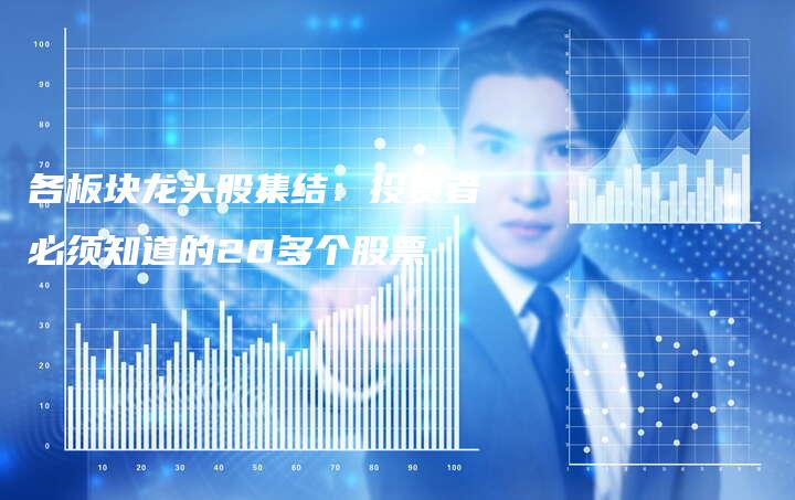 各板块龙头股集结：投资者必须知道的20多个股票