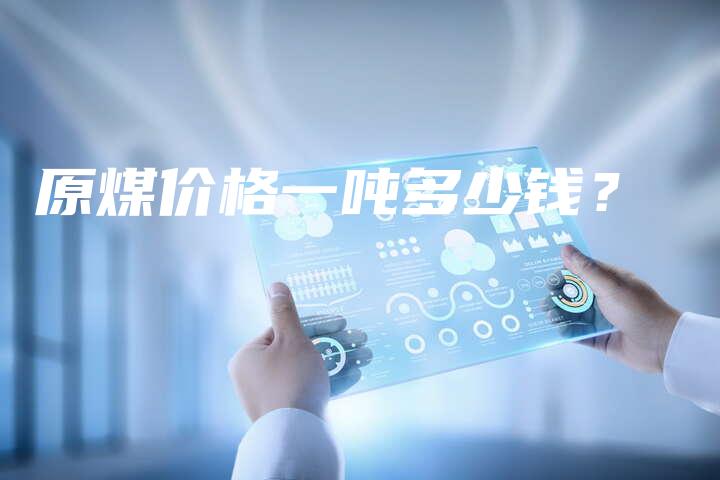 原煤价格一吨多少钱？