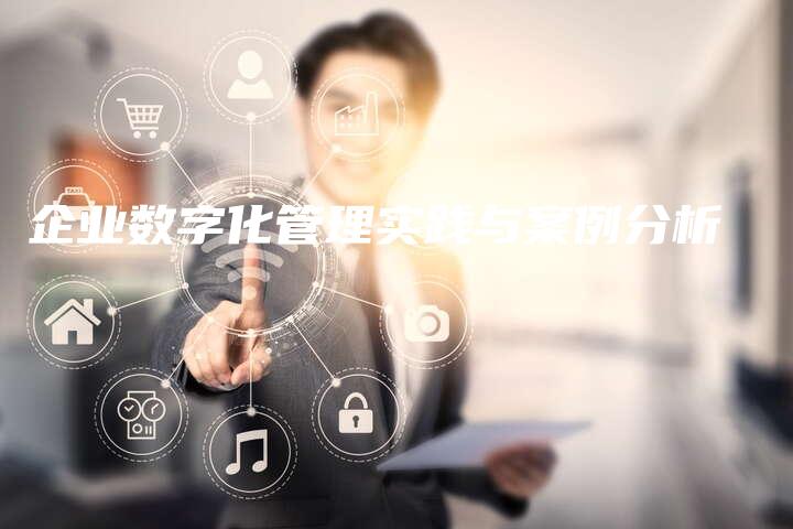 企业数字化管理实践与案例分析