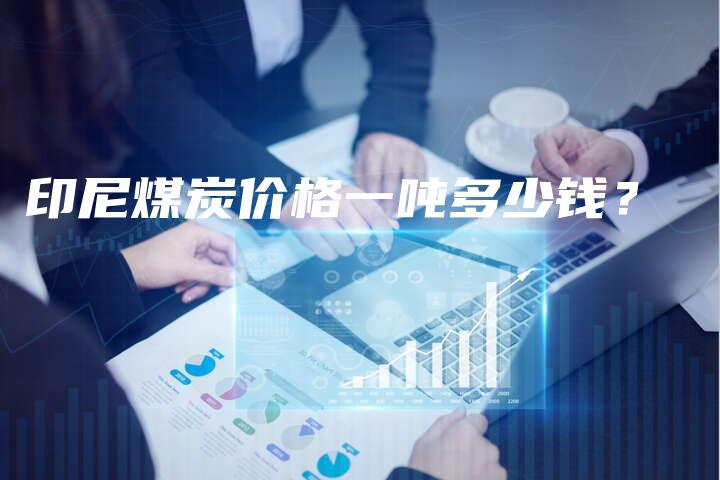 印尼煤炭价格一吨多少钱？