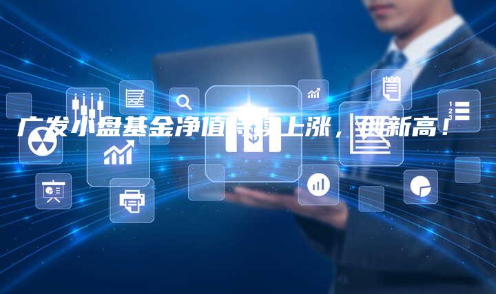 广发小盘基金净值持续上涨，创新高！