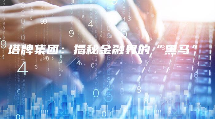 塔牌集团：揭秘金融界的“黑马”